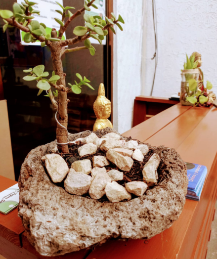beneficios-de-terapia-de-acupuntura-y-psicologia-en-cdmx.png
